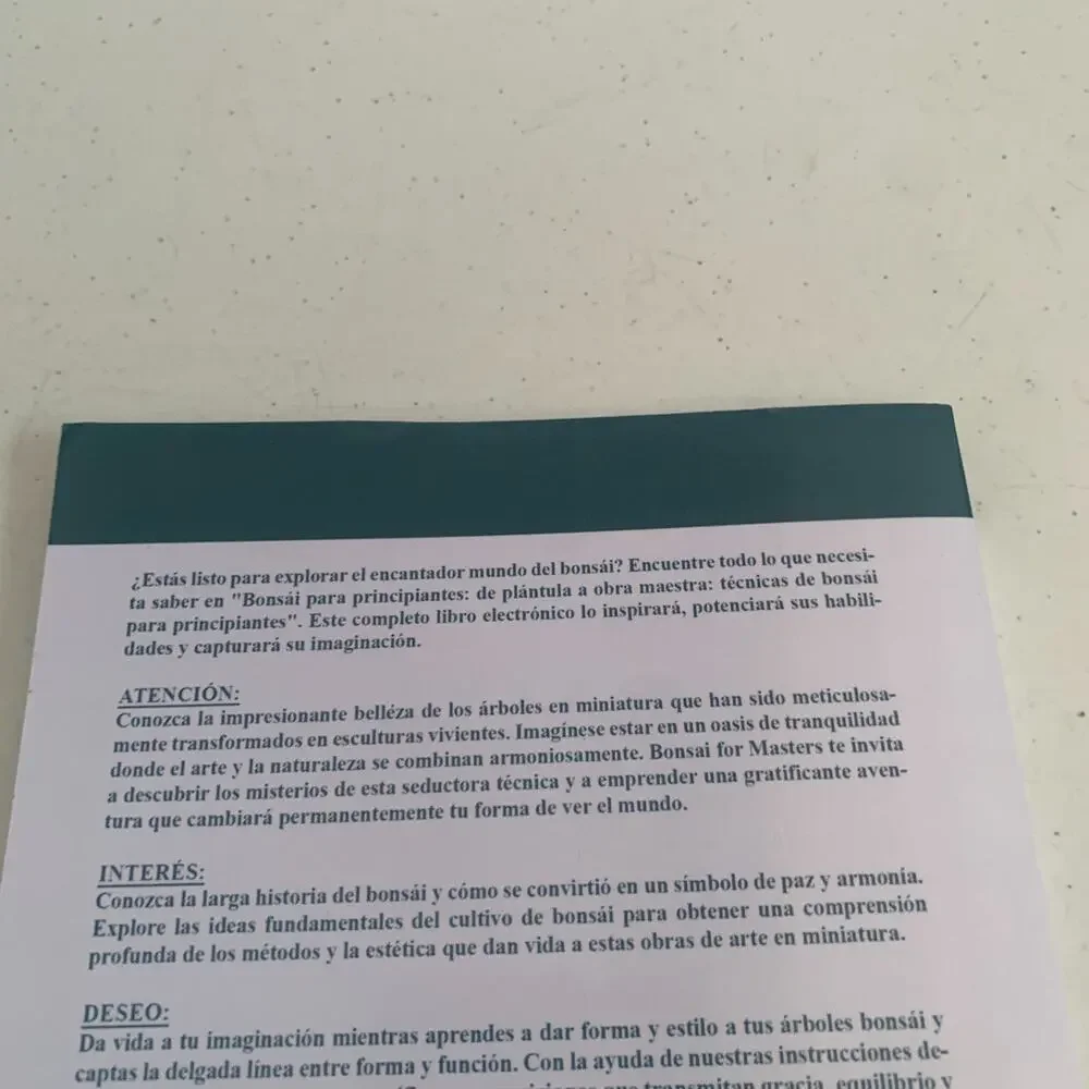Emily Bautista Bonsái Para Principiantes Paperback In Spanish